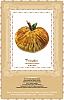 Pumpkin-shaped Pincushion Kit in Pumpkin Velvet