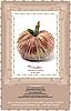Pumpkin-shaped Pincushion Kit in Terra Cotta Velvet