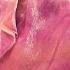 Cabbage Rose Velvet